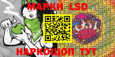 спайс Кандалакша