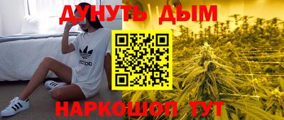 индика Изобильный