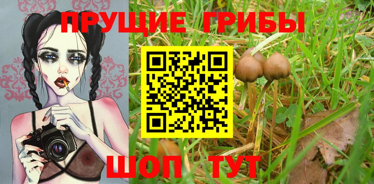 Галлюциногенные грибы мухоморы Лесосибирск