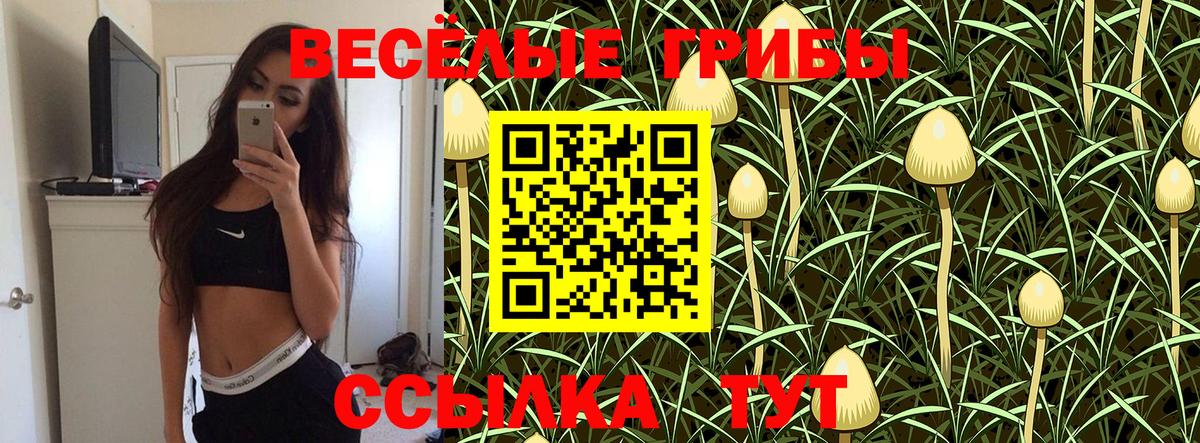Лесосибирск  цены наркотик  Вход с VPN  Галлюциногенные грибы прущие грибы  Псилоцибиновые грибы Magic Shrooms 